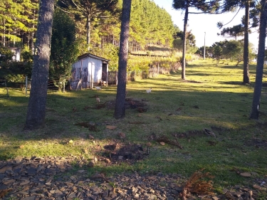 Chácara à 22km de Lages, Painel SC.