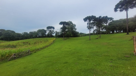 Área Rural em Bocaína SC.